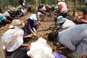 Pépinière et Parrainage enfant Madagascar