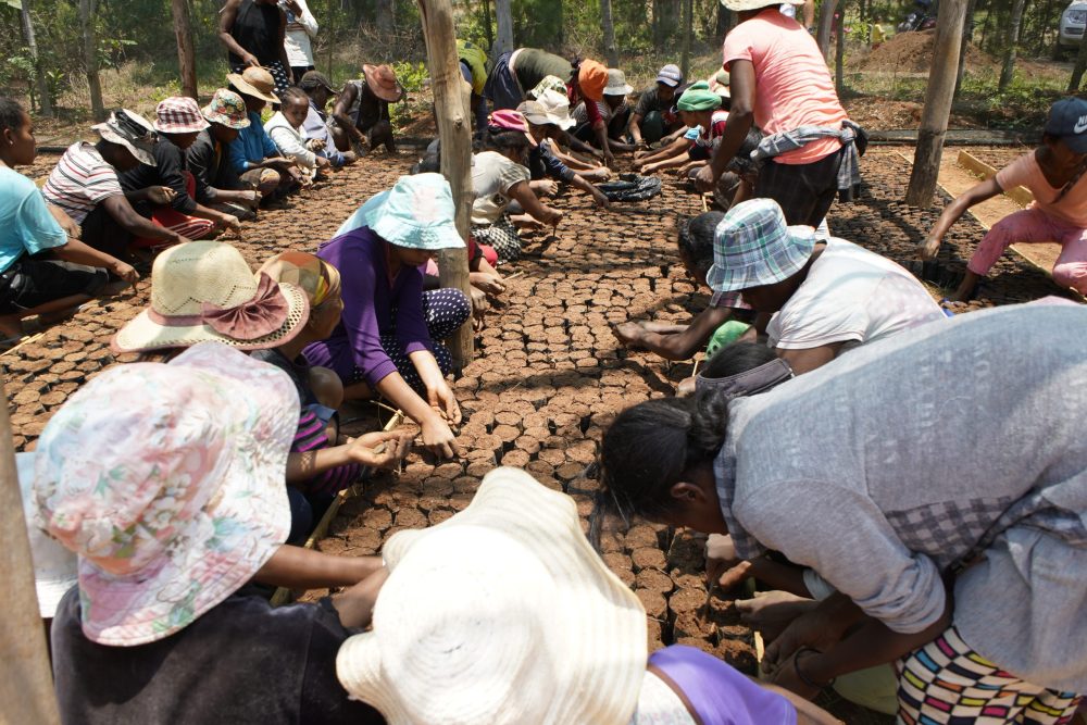 Pépinière et Parrainage enfant Madagascar
